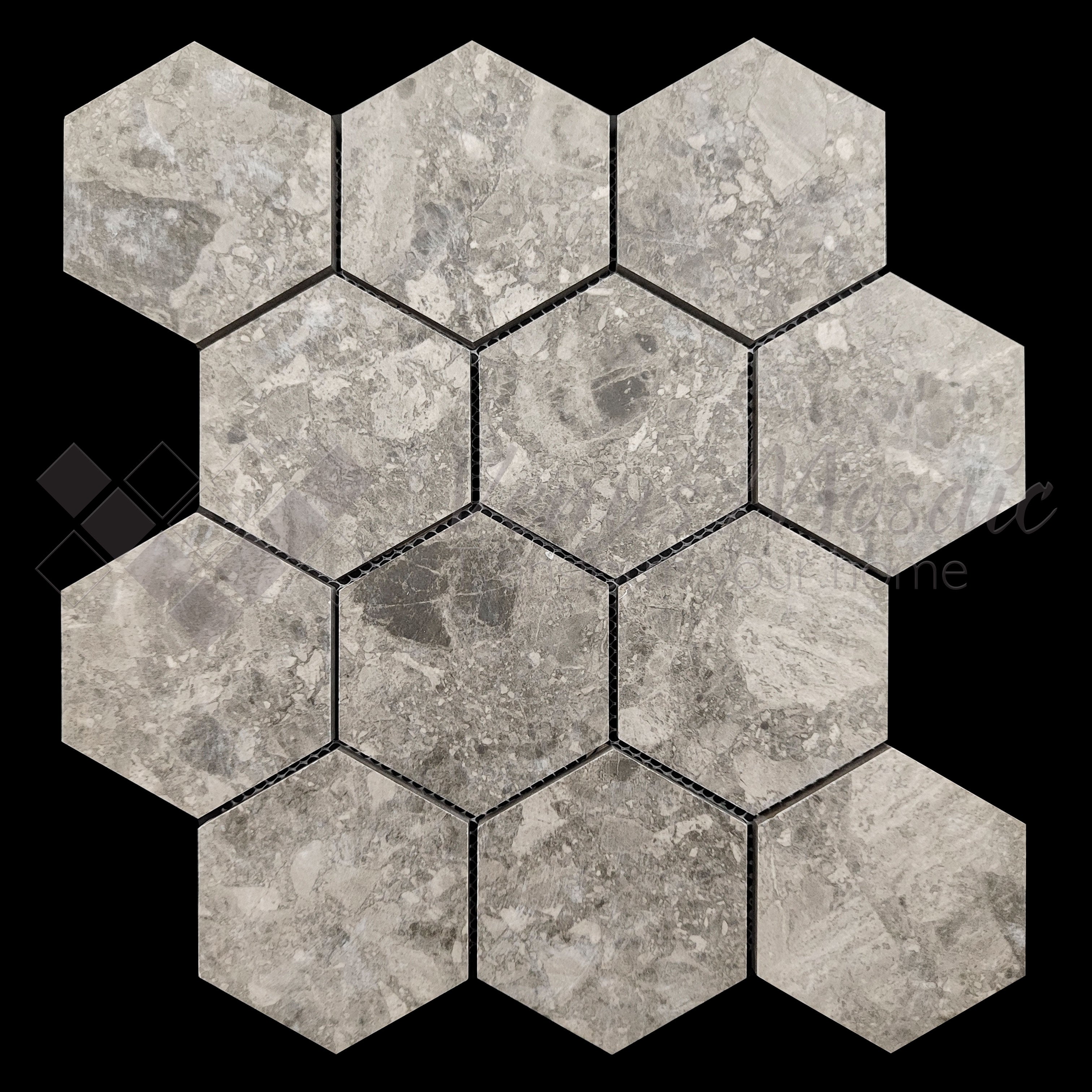 Venus Mosaic Porcelain Hexagon Tile