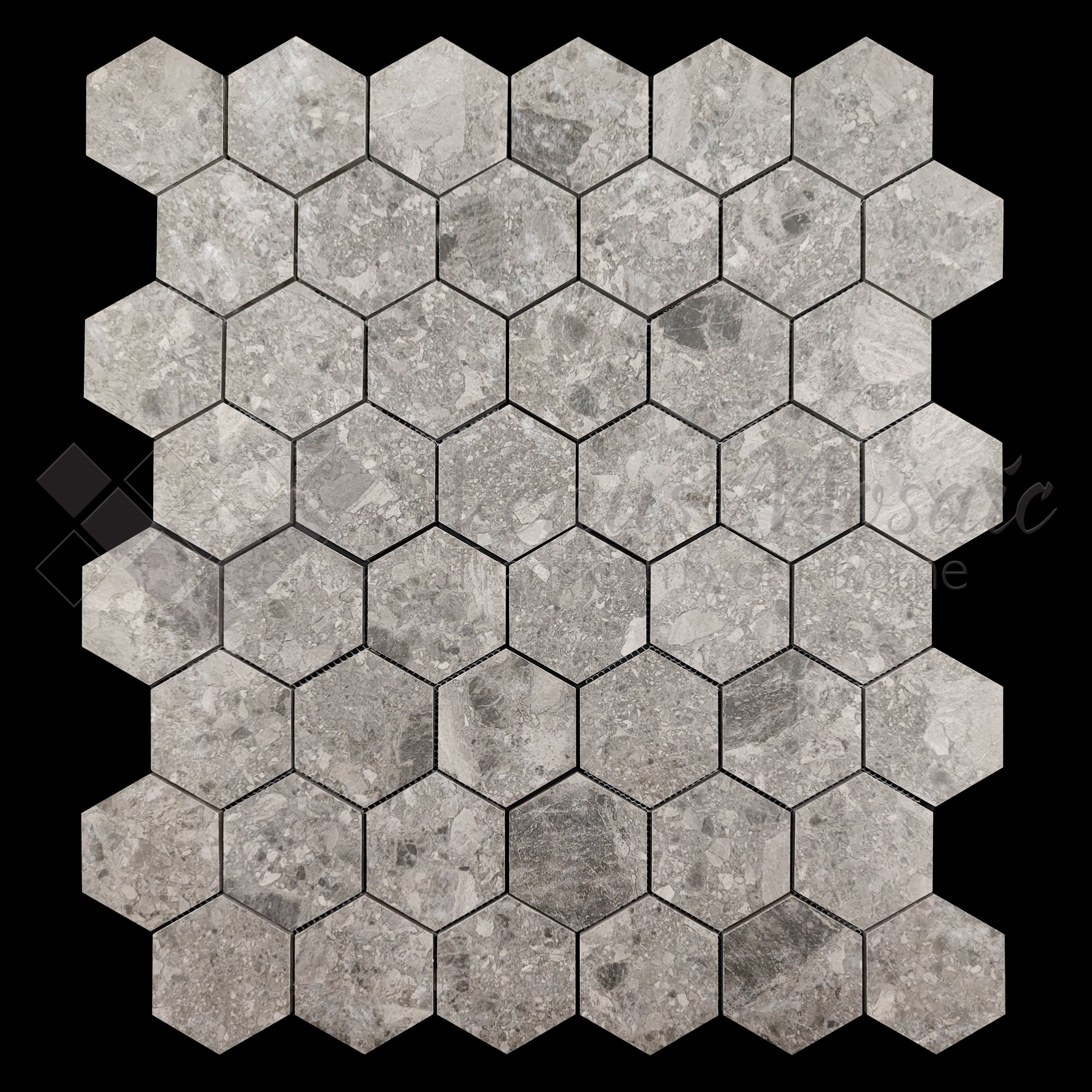 Venus Mosaic Porcelain Hexagon Tile