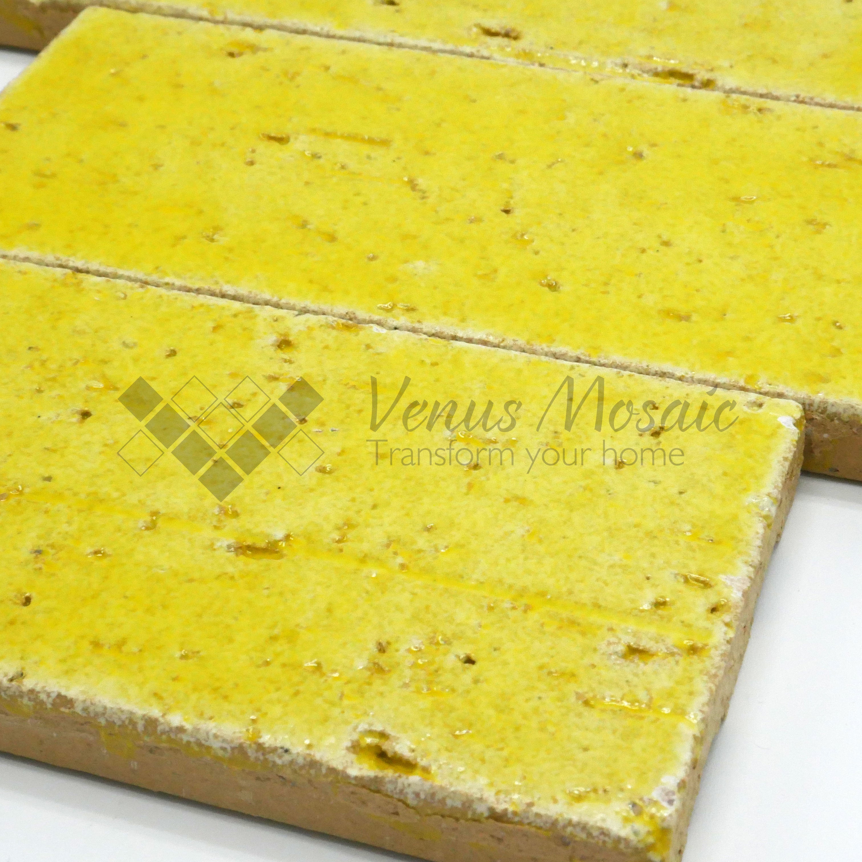 Venus Mosaic Porcelain Brick Tile